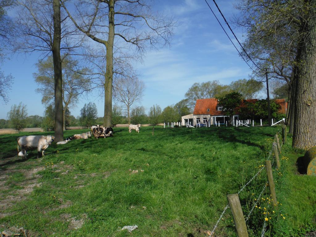 Hof ter Langeleye Planke Villa Damme Rom bilde